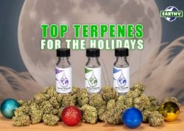 Top Terpenes for the Holidays | Earthy Now