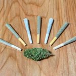 An image of seven perfect pre-rolls and a CBD cannabis bud