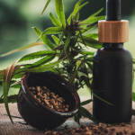 3 Reasons Why Your Small Business Should Consider CBD Products