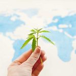 Top 10 Places for CBD Use on the Planet