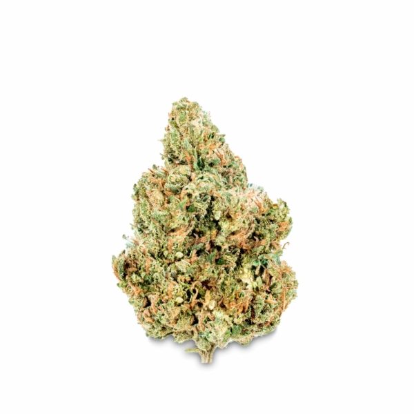 Earthy Now Pine Walker High-CBD, Low-THC Cannabis Flower Bud