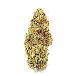 Earthy Now Suver Haze High-CBD, Low-THC Cannabis Flower Bud