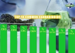 Top 10 common cannabinoids CBD, CBG, CBC, CBDV, ∆9THC, ∆8THC, ∆9THC, THCA, THCV