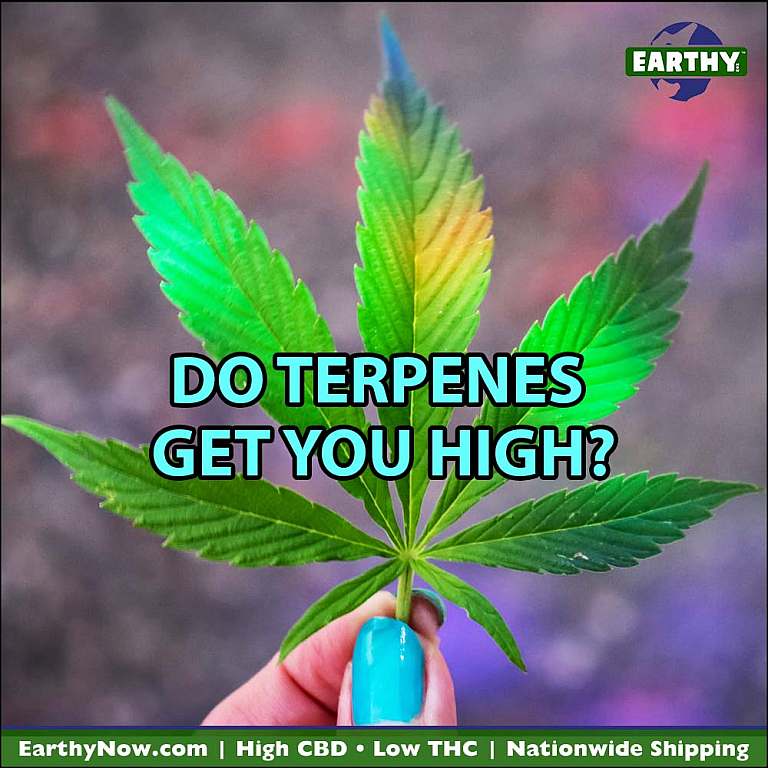 Cannabis leaf in hand, Earthy Now logo. Do terpenes get you high