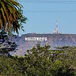 Hollywood sign with weed instead of wood