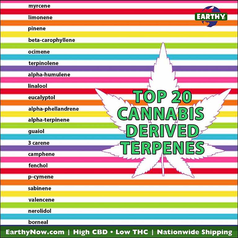 Top 20 cannabis derived terpenes and rainbow stripes, earthy now logo