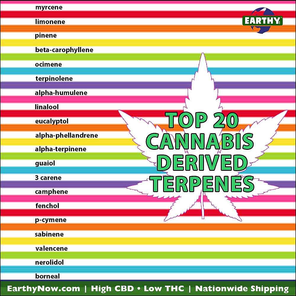 Top 20 cannabis derived terpenes and rainbow stripes, earthy now logo