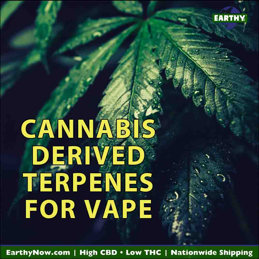 Cannabis derived terpenes for vape. Earthy Now logo