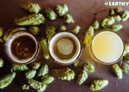 Hops and beer and cannabis derived terpene alpha humulene