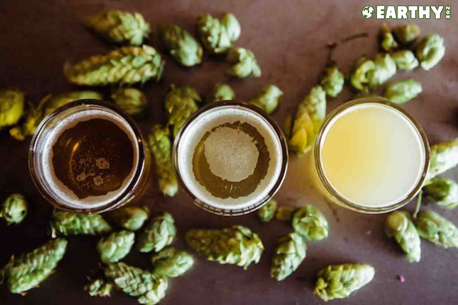 Hops and beer and cannabis derived terpene alpha humulene
