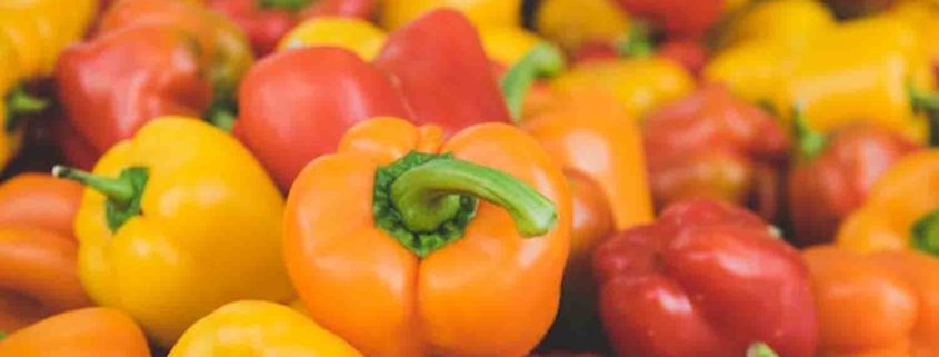 3 carene terpene is in bell peppers and cannabis