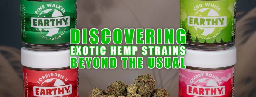 Discovering Exotic Hemp Strains: Beyond the Usual. Earthy Now