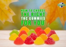 How to Choose the Right THC Gummies for You. Earthy Now
