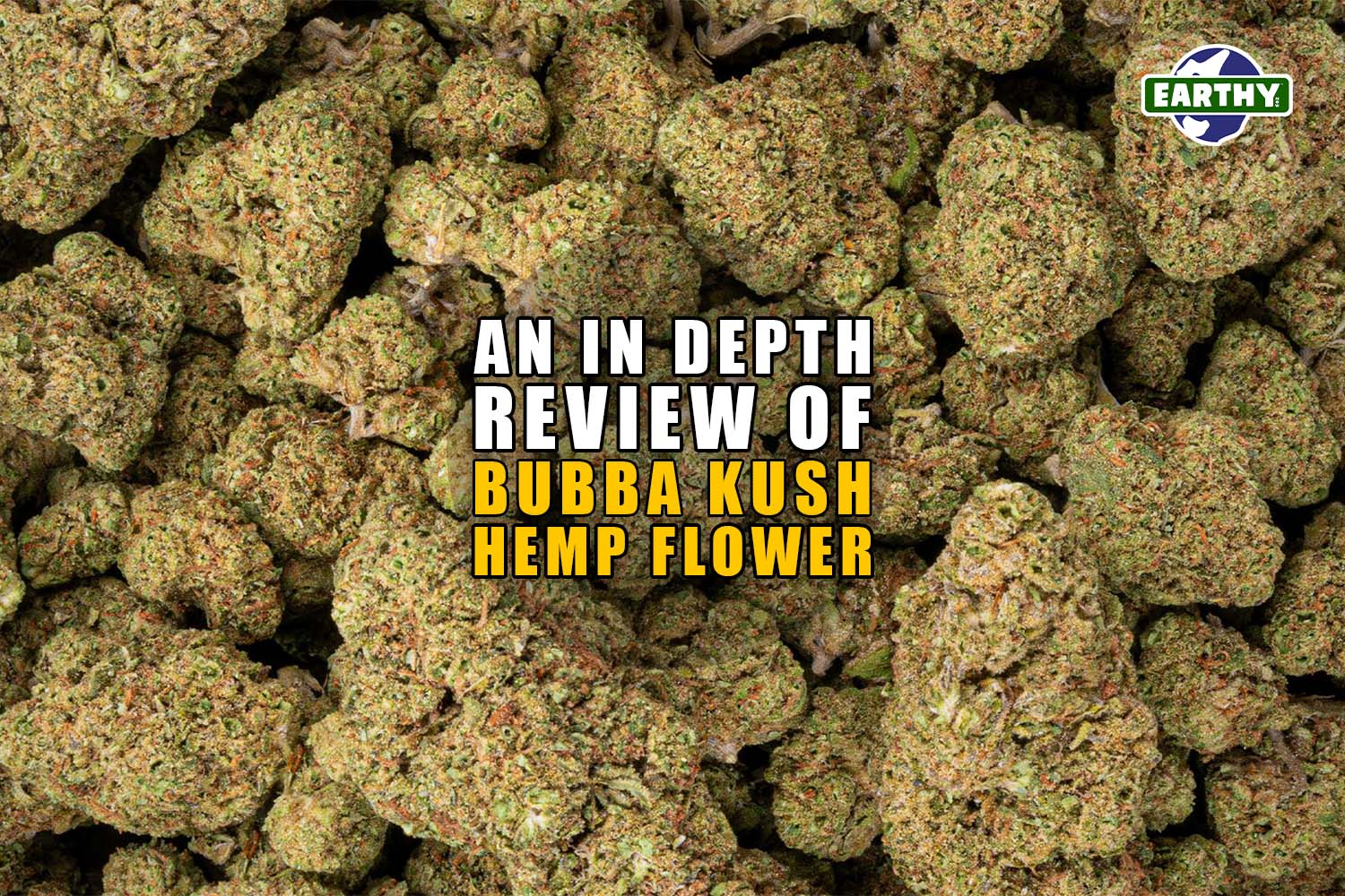 An In-depth review of Bubba Kush Hemp Flower. Earthy Now