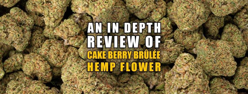 An In-depth review of Cake Berry Brûlée Hemp Flower. Earthy Now