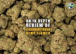 An In-depth Review of Legendary Kush Hemp Flower. Earthy Now