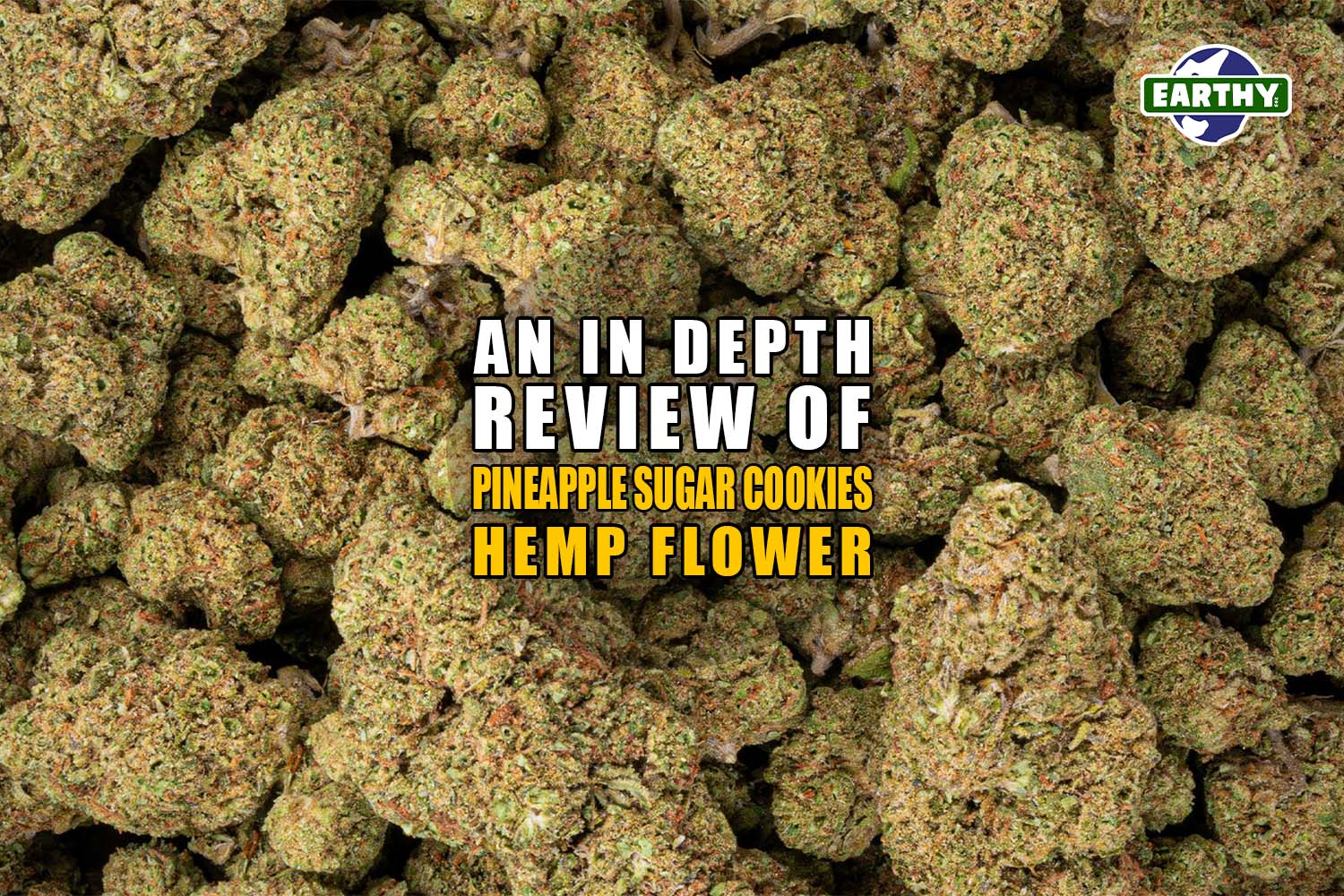 An In-depth Review of Pineapple Sugar Cookies Hemp Flower. Earthy Now