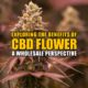 Exploring the Benefits of CBD Flower: A Wholesale Perspective | Earthy Now Wholesale