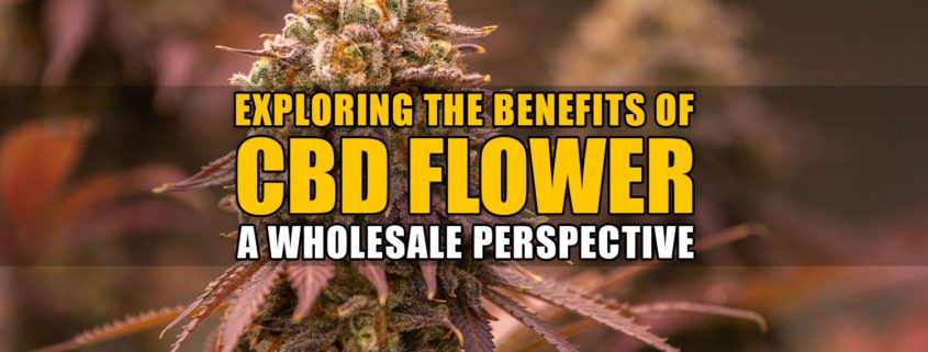 Exploring the Benefits of CBD Flower: A Wholesale Perspective | Earthy Now Wholesale