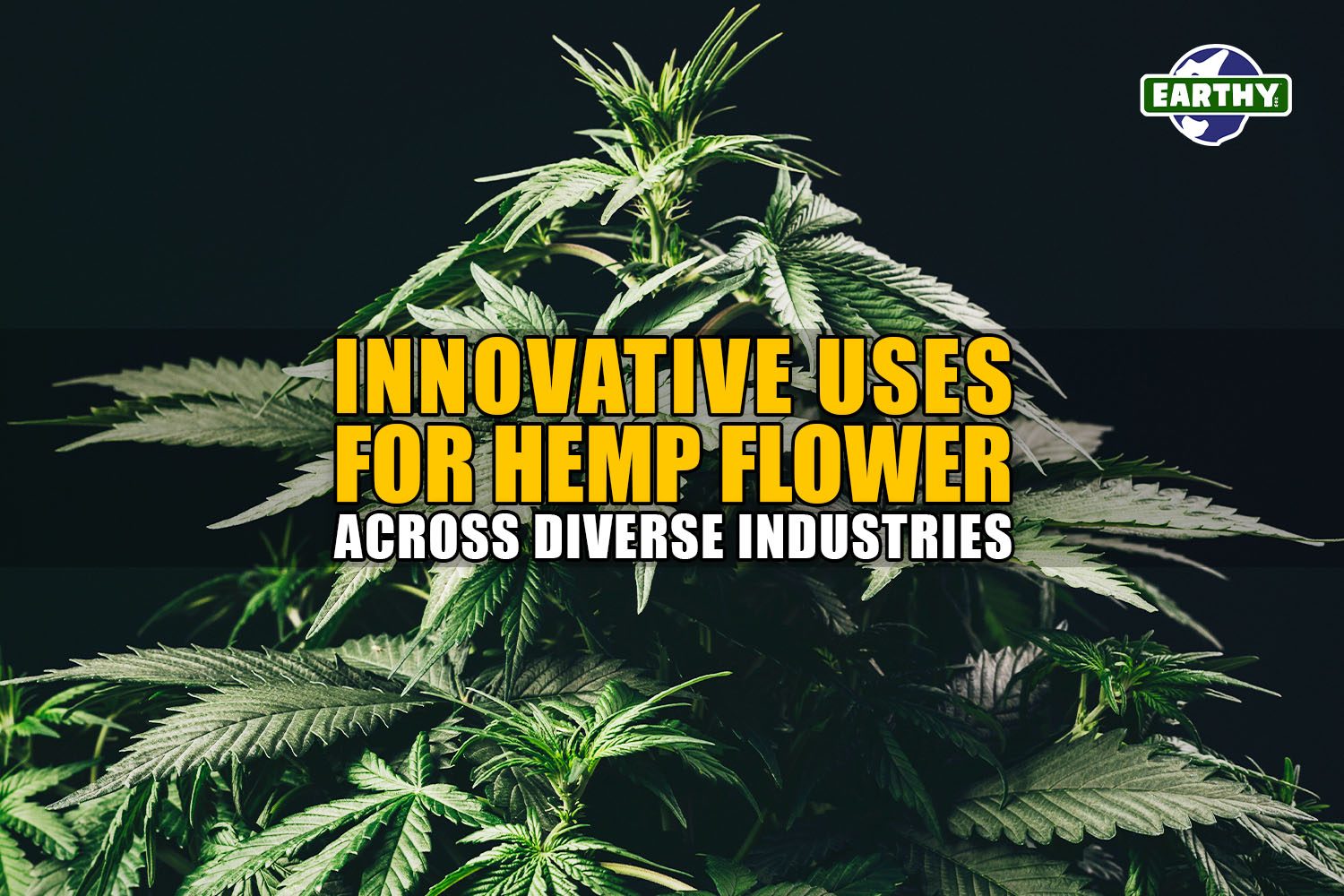 Innovative Uses for Hemp Flower Across Diverse Industries | Earthy Wholesale