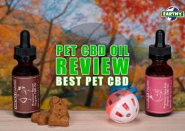 Pet CBD Oil Review: Best Pet CBD | Earthy Now