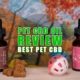 Pet CBD Oil Review: Best Pet CBD | Earthy Now
