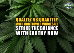 Quality vs Quantity with CBD Flower Wholesale: Strike the Balance with Earthy Now Wholesale