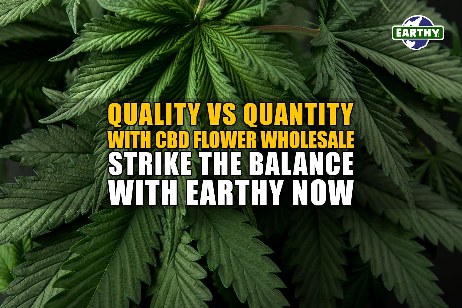 Quality vs Quantity with CBD Flower Wholesale: Strike the Balance with Earthy Now Wholesale