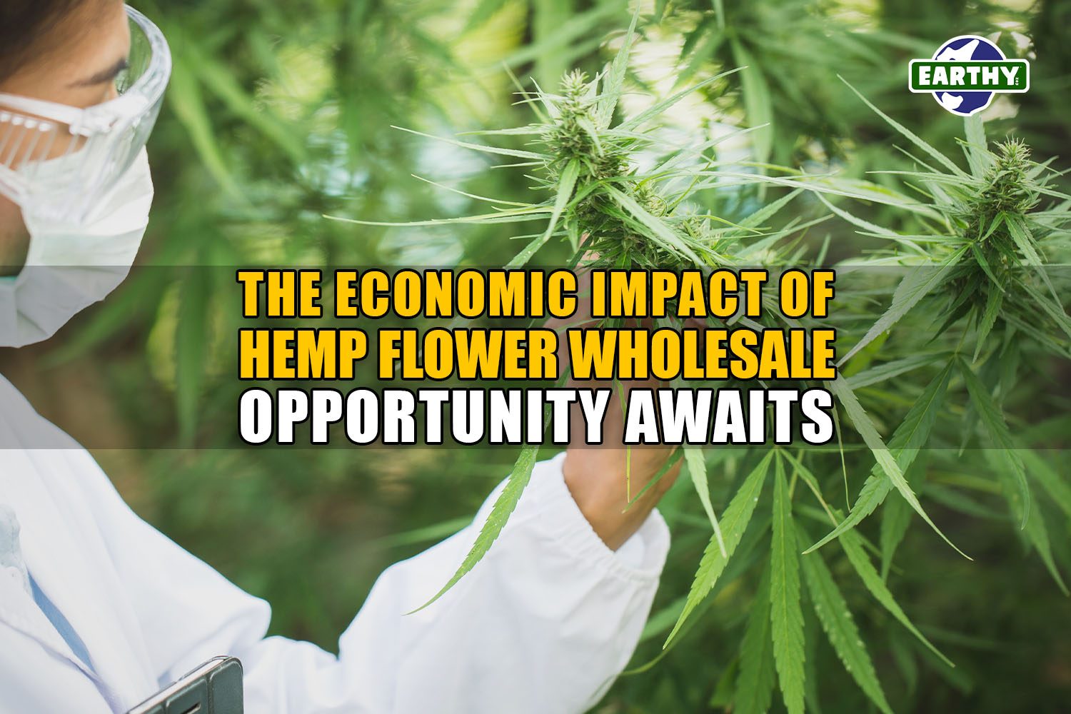 The Economic Impact of Hemp Flower Wholesale: Opportunities Await | Earthy Wholesale