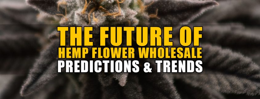 The Future of Hemp Flower Wholesale: Predictions and Trends | Earthy Now Wholesale
