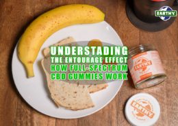Understanding the Entourage Effect: How Full Spectrum CBD Gummies Work | Earthy Now