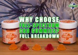 Why Choose Full Spectrum CBD Gummies? Full Breakdown | Earthy Now