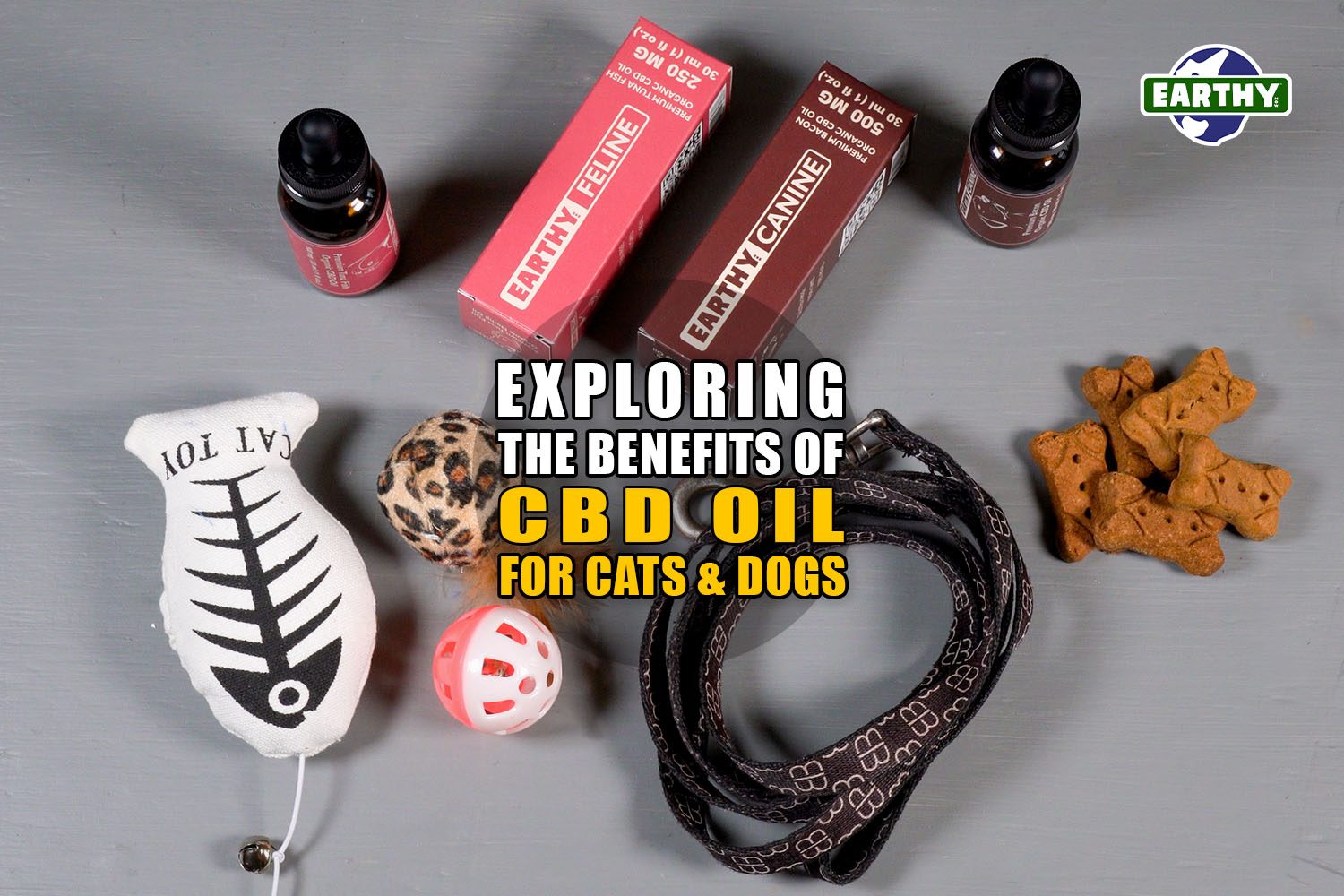 Exploring the Benefits of CBD Oil for Cats and Dogs | Earthy now