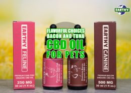 Flavorful Choices: Bacon and Tuna CBD Oils for Pets | Earthy Now