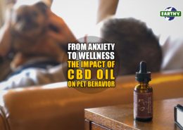 From Anxiety to Wellness: The Impact of CBD Oil on Pet Behavior | Earthy Now