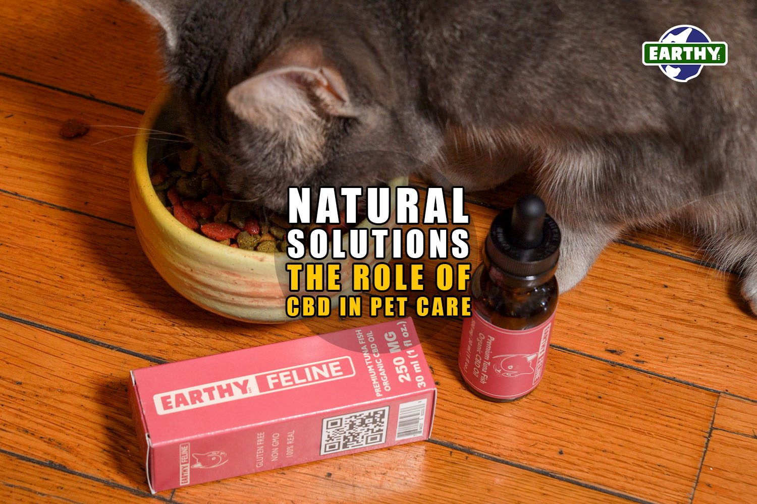 Natural Solutions: The Role of CBD in Pet Care | Earthy Now