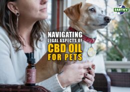 Navigating Legal Aspects of CBD Oil for Pets | Earthy Now