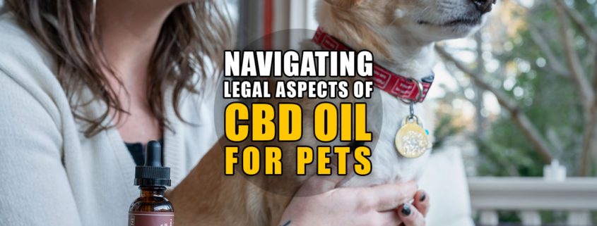 Navigating Legal Aspects of CBD Oil for Pets | Earthy Now