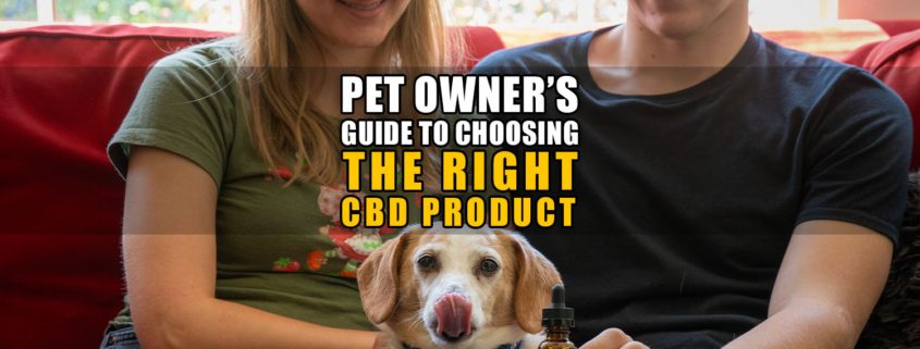 Pet Owner's Guide to Choosing the Right CBD Product | Earthy Now