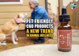 Pet-friendly CBD Products: A New Trend in Animal Wellness | Earthy Now
