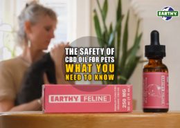 The Safety of CBD Oil for Pets: What You Need to Know | Earthy Now