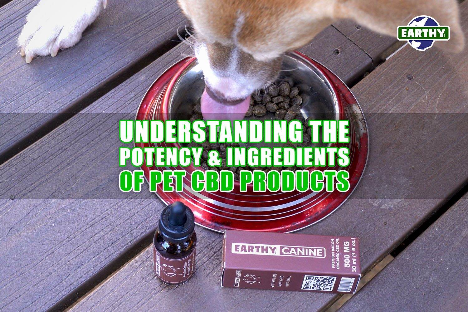 Understanding the Potency and Ingredients of Pet CBD Products | Earthy Now