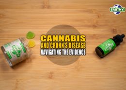 Cannabis and Crohn's Disease: Navigating the Evidence | Earthy Now