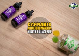 Cannabis and Fibromyalgia: What the Research Says | Earthy Now