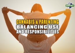 Cannabis and Parenting: Balancing Use and Responsibilities | Earthy Now