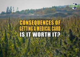 Consequences of Getting a Medical Card: Is It Worth It? | Earthy Now