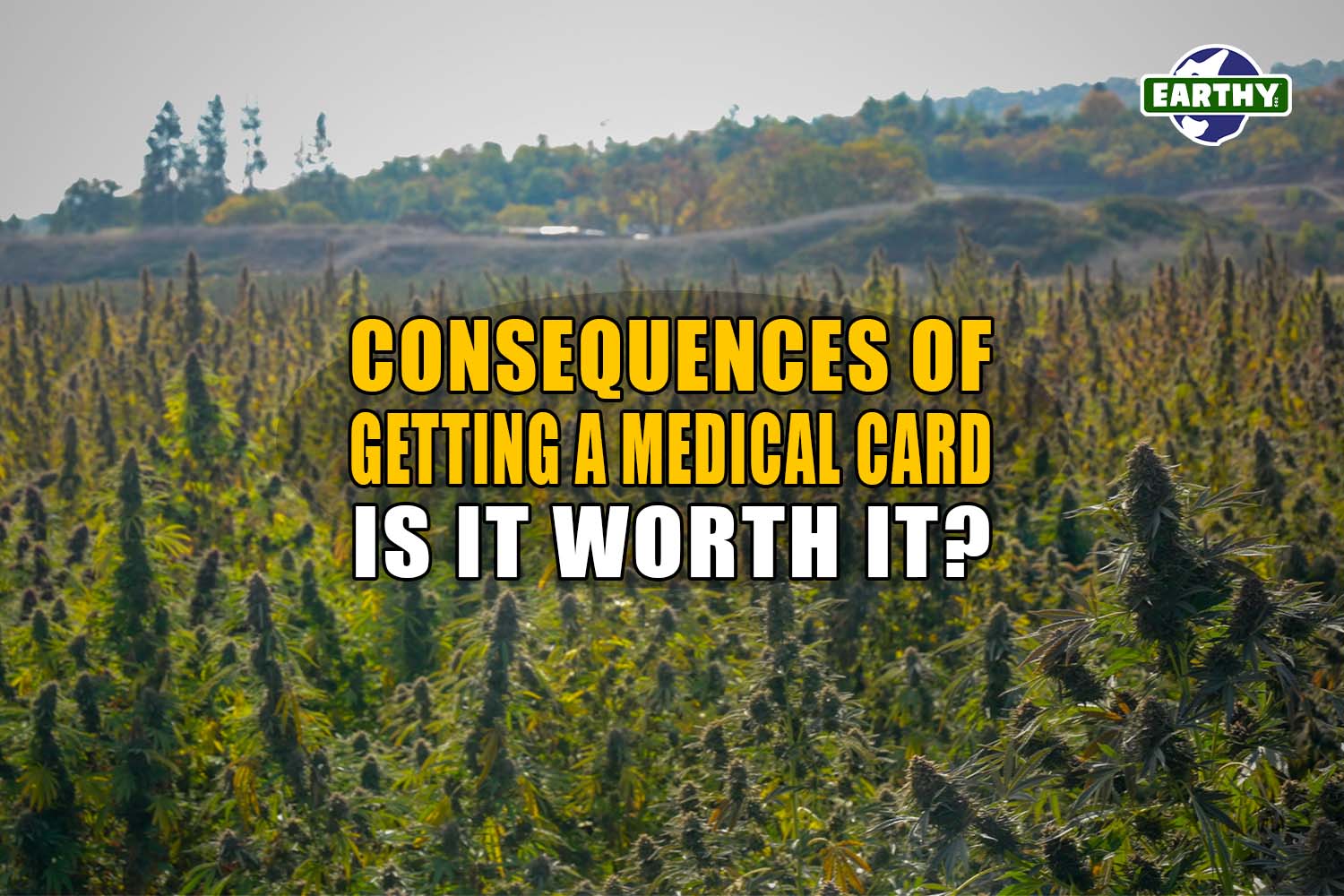 Consequences of Getting a Medical Card: Is It Worth It? | Earthy Now