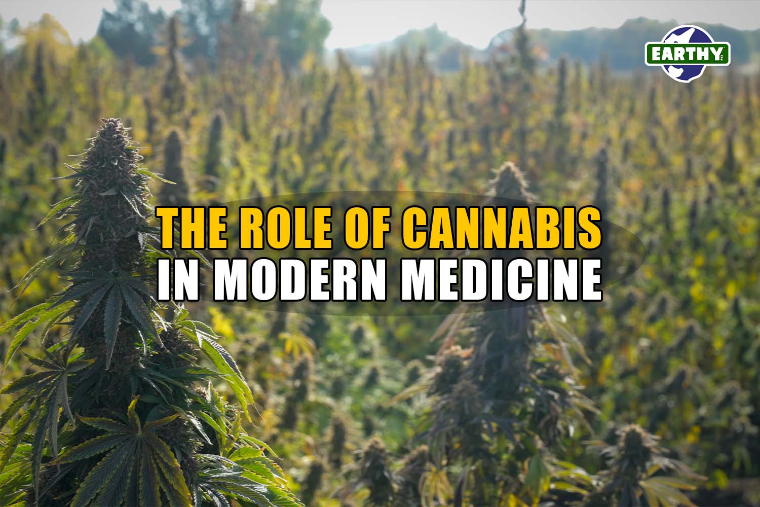 The Role of Cannabis in Modern Medicine | Earthy Now