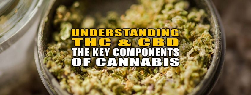 Understanding THC and CBD: The Key Components of Cannabis | Earthy Now