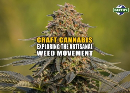 Craft Cannabis: Exploring the Artisanal Weed Movement - Earthy Now